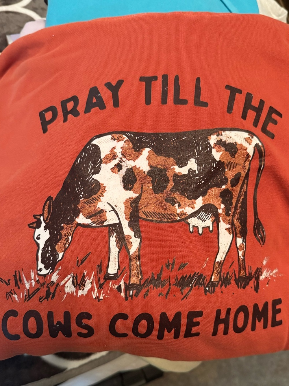Pray Till The Cows Come Home Hoodie- Rust